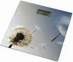 Фото товара Весы напольные стеклянные GRUNHELM BES-BLG, квадратные, максимальный вес 180 кг, 28*28 см