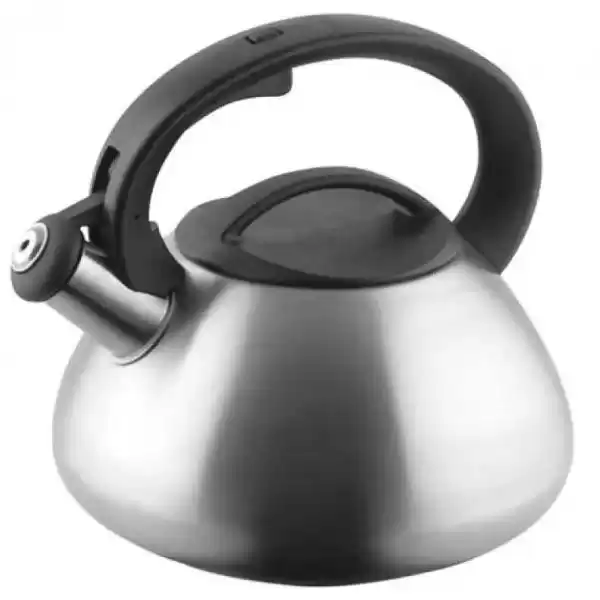 Чайник со свистком GUSTO GT-1406-25, 2.5 л. - изображение 1