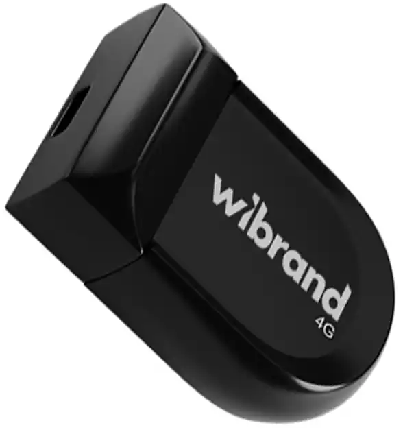 Флешка 4 Гб Wibrand Scorpio USB 2.0 чорна - зображення 1